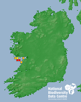 northern fulmar map