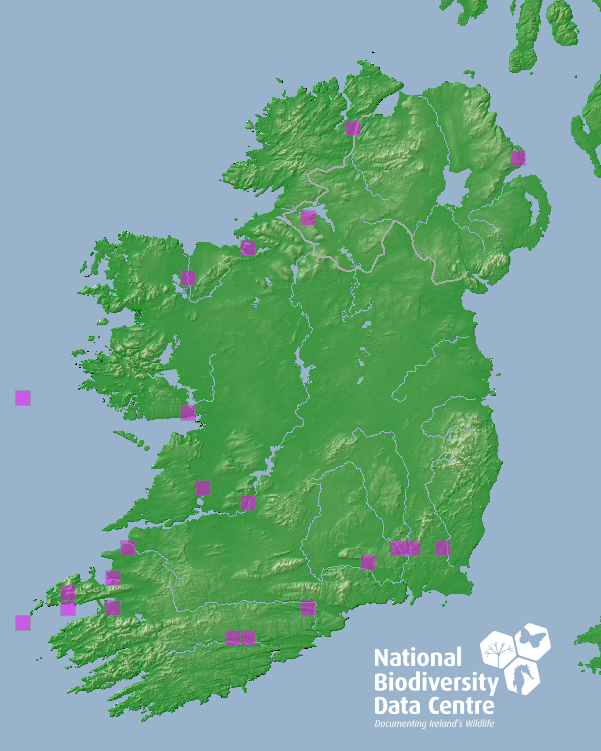 Help Map Ireland's Marine Life”